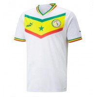 Senegal Hjemmebanetrøje VM 2022 Kortærmet